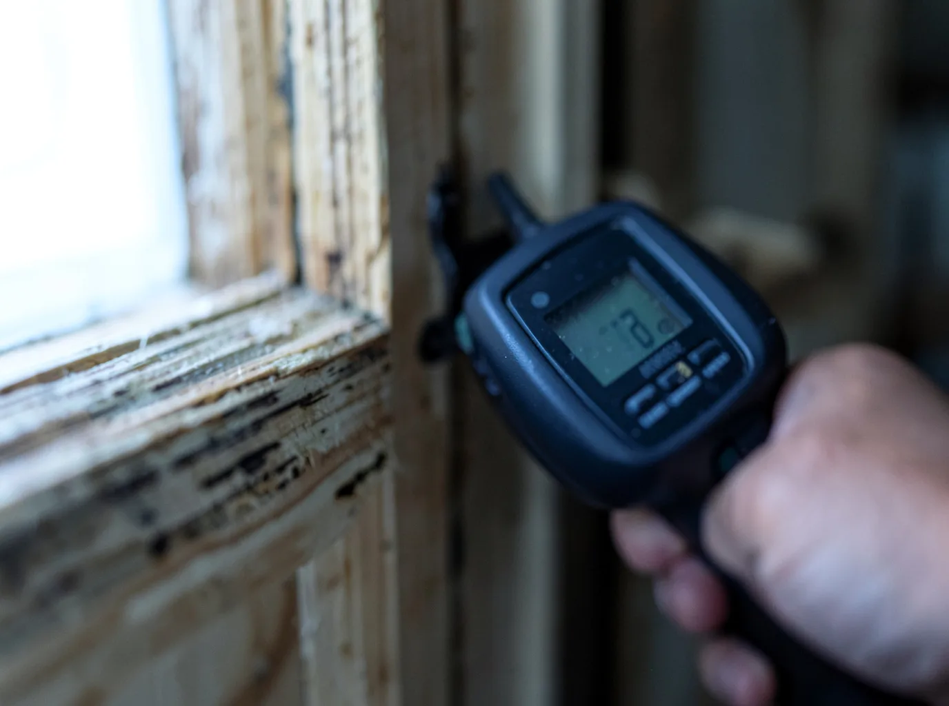 Moisture Inspection And Documentation in Martin, OH